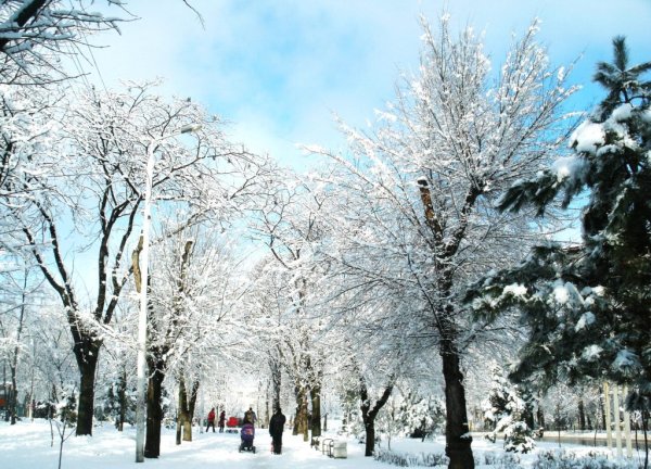 Климат в городе Ростов на Дону