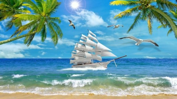 Море пальмы парусник