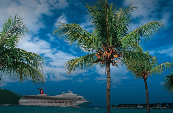 Пляж пальмы яхты