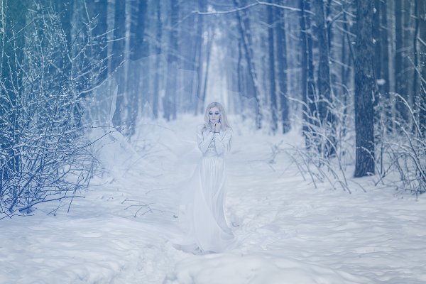 Лес снежной королевы
