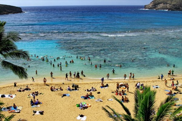 Гавайи ороллари