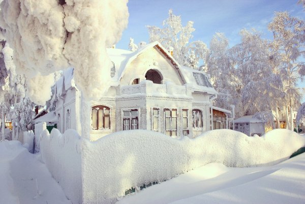 Александр Шумай Сургут