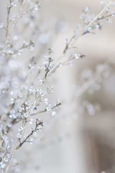 Зимняя нежность