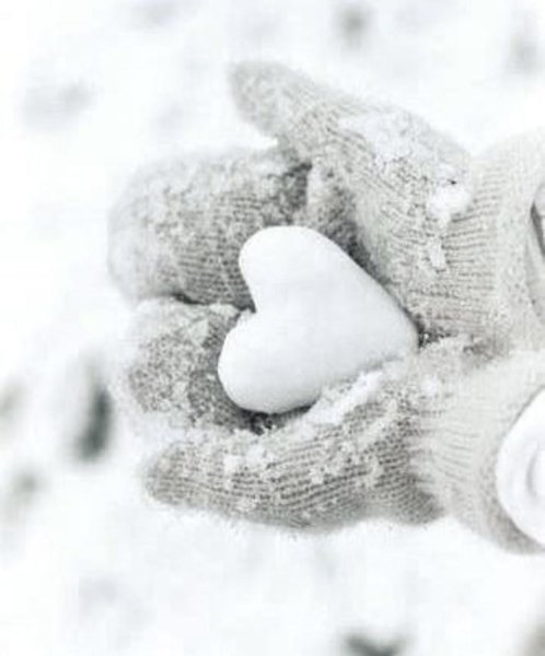 Нежность зимой