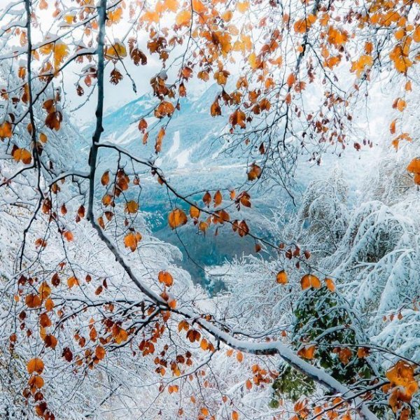 Осень снег