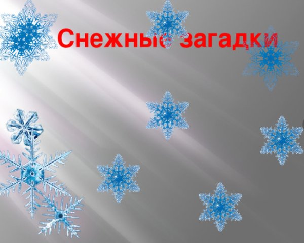 Снежные загадки