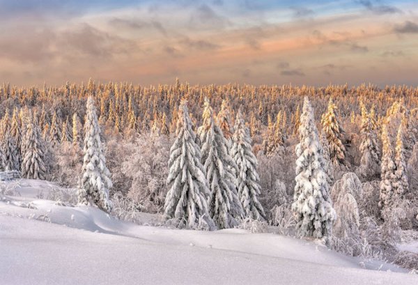 Владимир Чуприков Кунгур фотограф