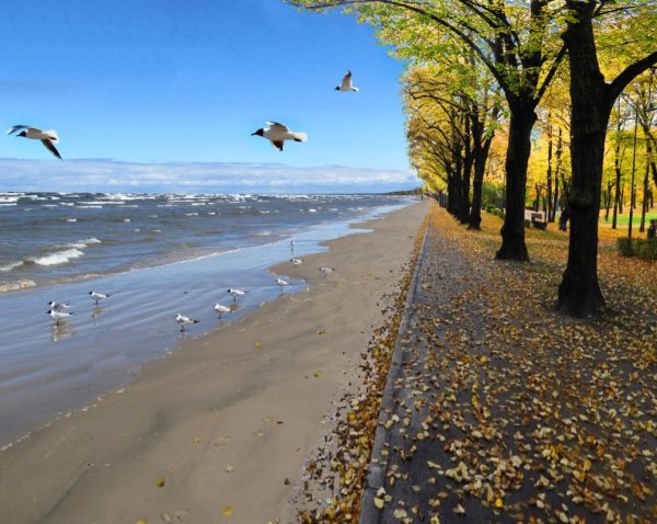 Берег моря осенью