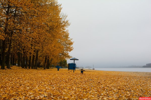 Осенний пляж
