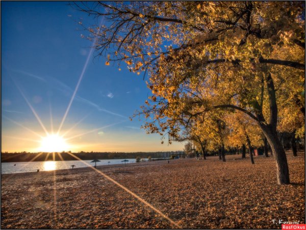 Осень Солнечная море