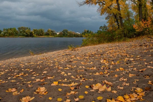 Осенний берег