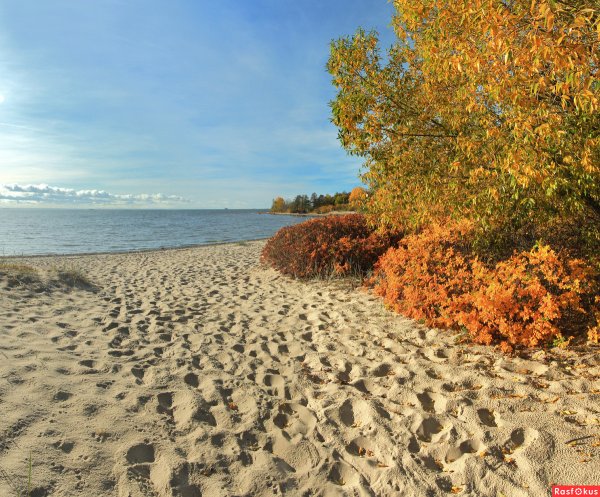 Осенний пляж