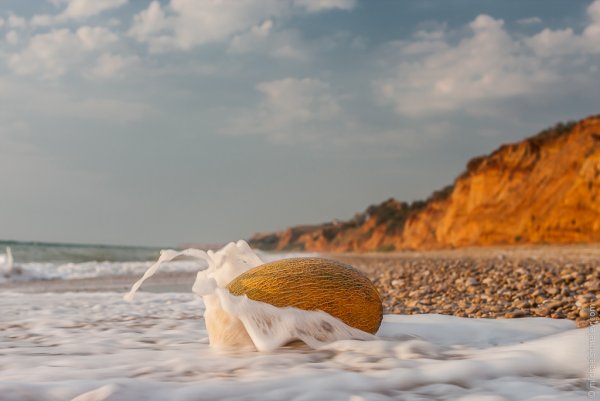 Море пляж осенью