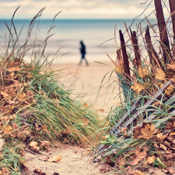 Море осень пляж