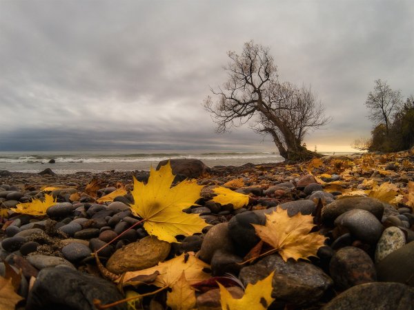 Осенний берег моря