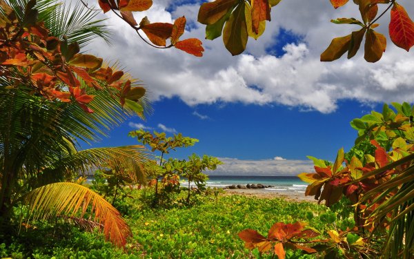 Экзотические пейзажи