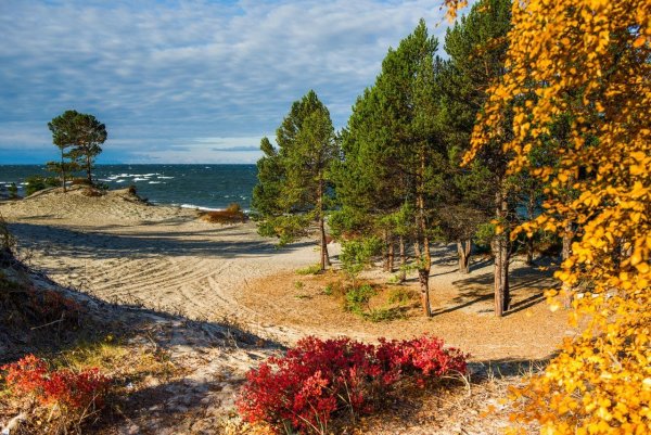 Золотой пляж Зеленогорск