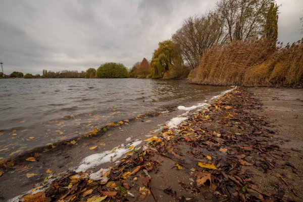 Осенний берег фото
