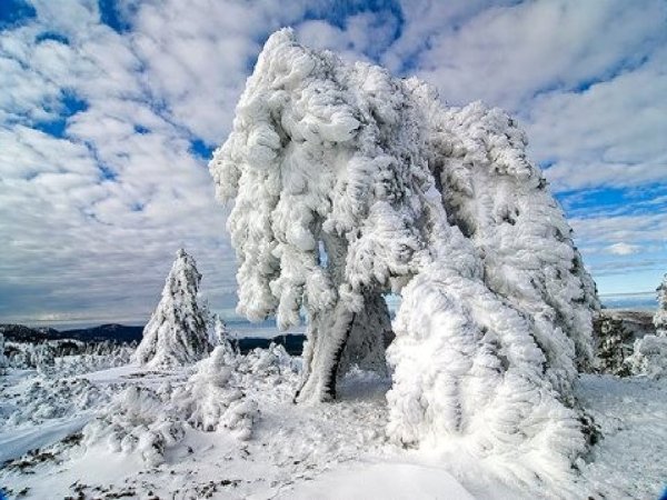 Снежные чудеса природы