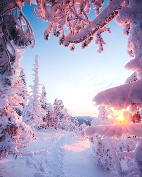 Красота зимы