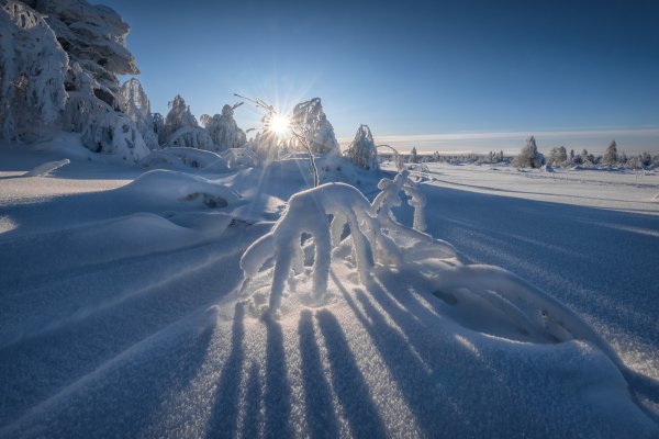 Природа зимой