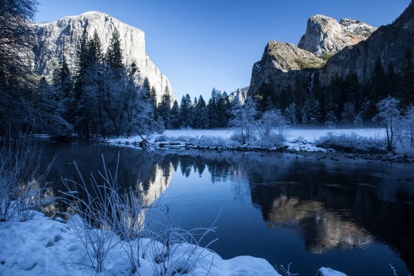 Винтер Сноу