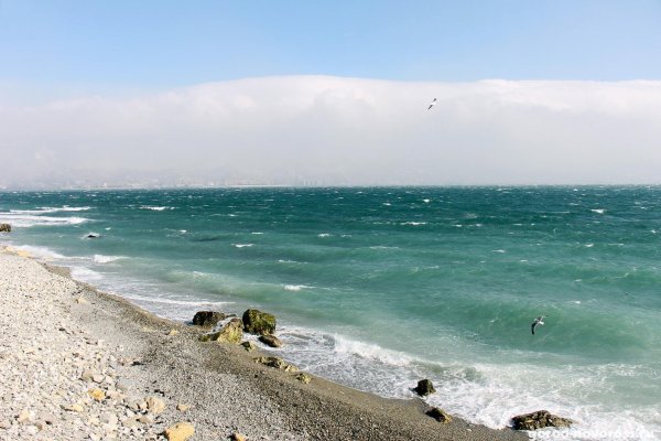 Новороссийск Novorossiysk пляж