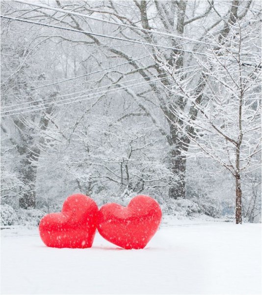 Открытка Любовь Зима
