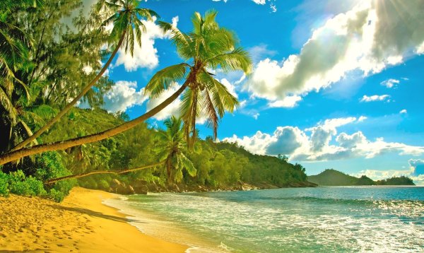 Райские тропики