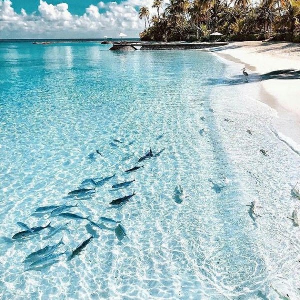 Мальдивы Баунти