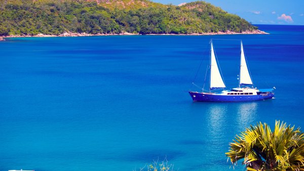 Остров с пальмами и яхтой