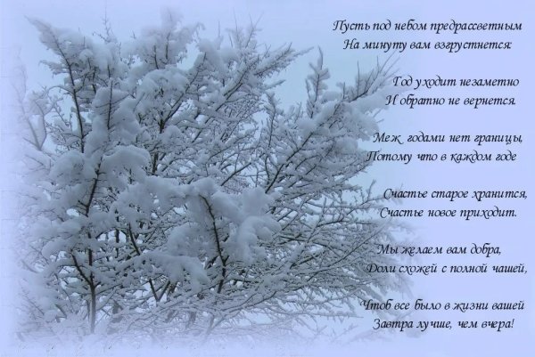Красивое стихотворение о зиме
