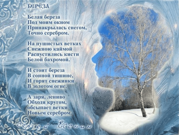 Стихотворение Есенина береза