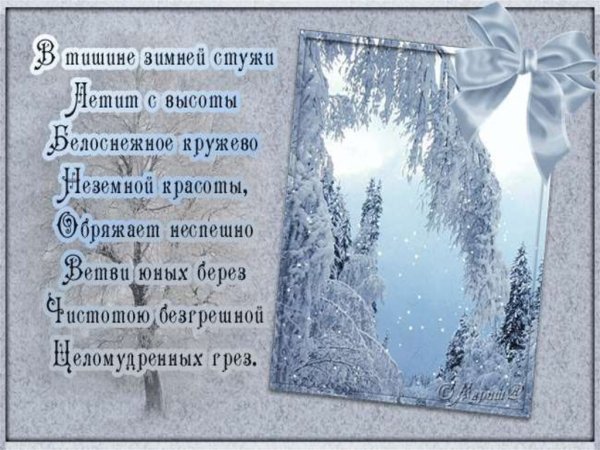 Зимний день стих
