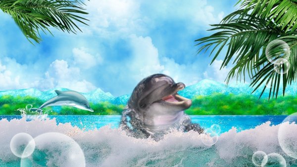 Море пляж дельфины