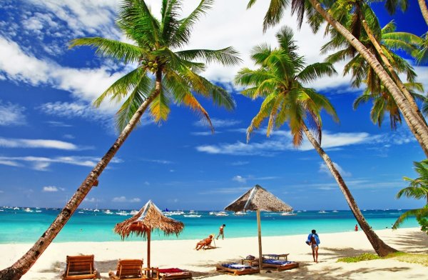 Пляж с пальмами