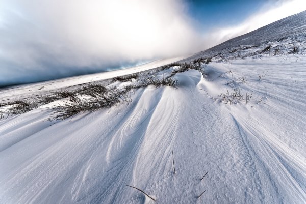 Снежная равнина