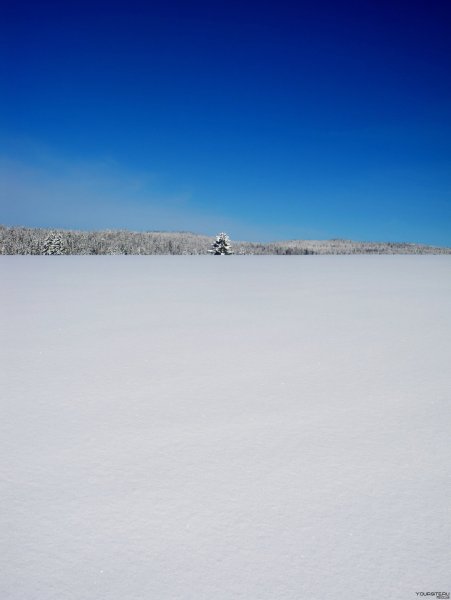 Снежное поле