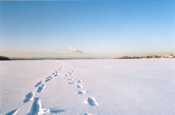 Чистое поле зима