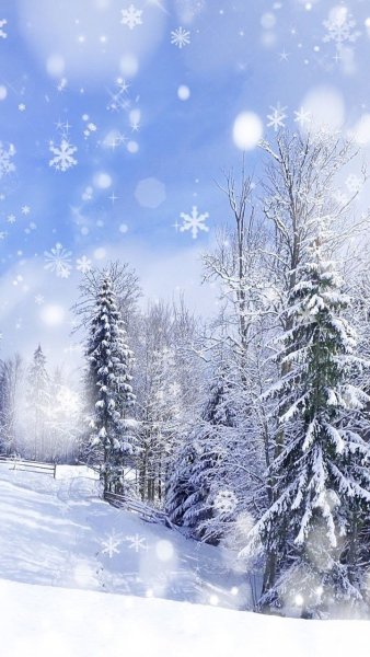 Зимние вертикальные