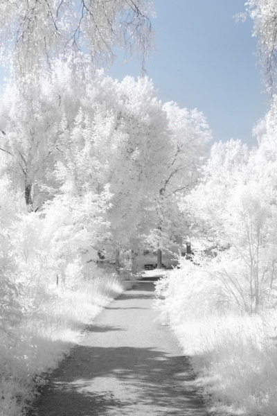 Юусо Хамалайнен