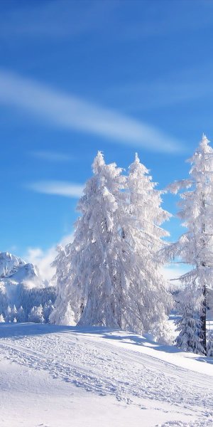 Красивая зима