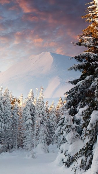 Декабрь природа