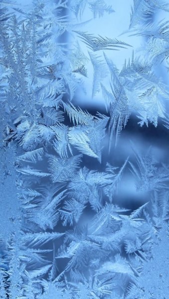 Зима снег солнце