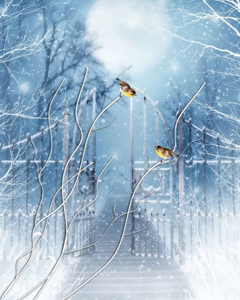 Заснеженный лес