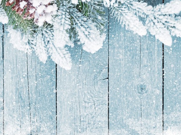 Первый снег