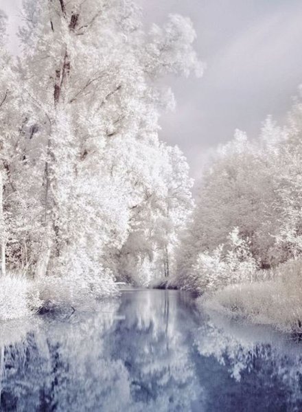 Снежная зима