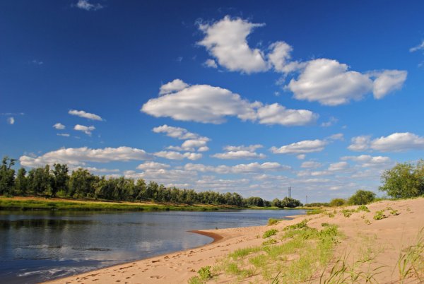 Город Балаково остров пустынный
