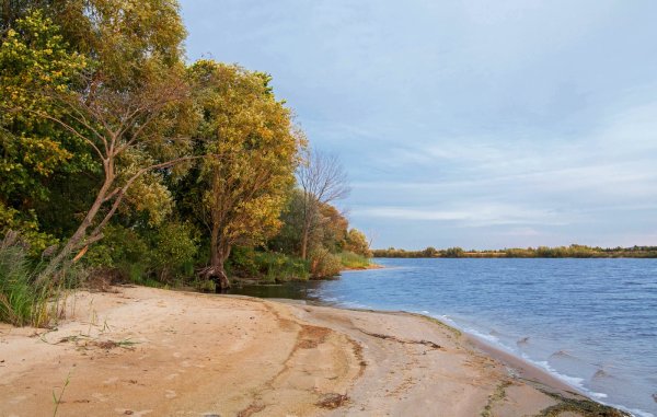 Займище Волга пляж