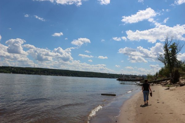 "Лето на Волге" Ярославская область